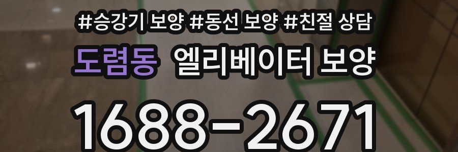 도렴동 엘리베이터 보양