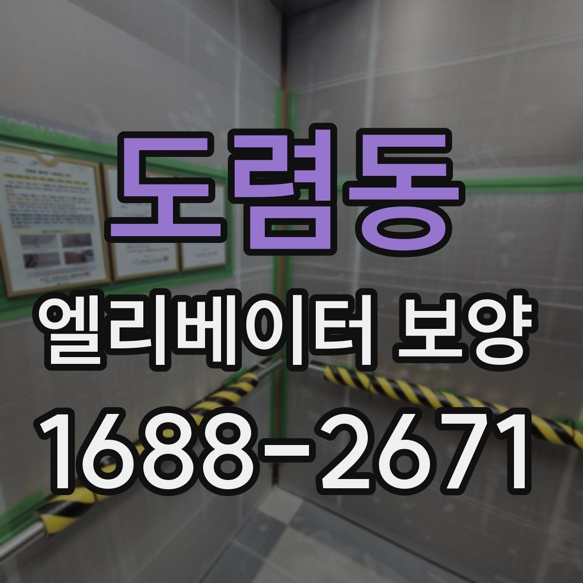 도렴동 엘리베이터 보양