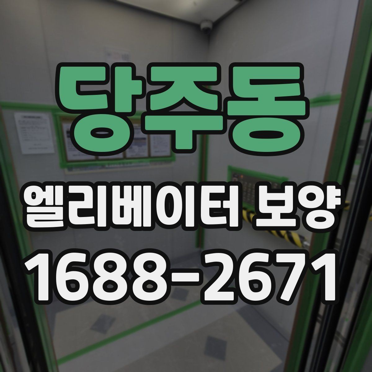 당주동 엘리베이터 보양 자주 묻는 질문과 답변