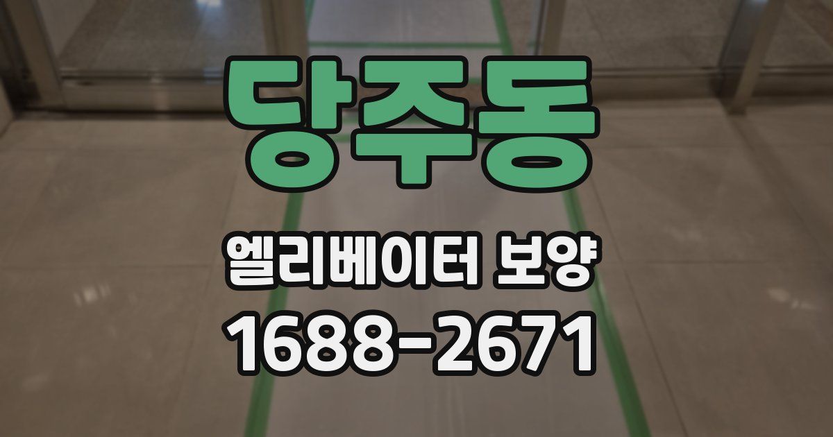 당주동 엘리베이터 보양