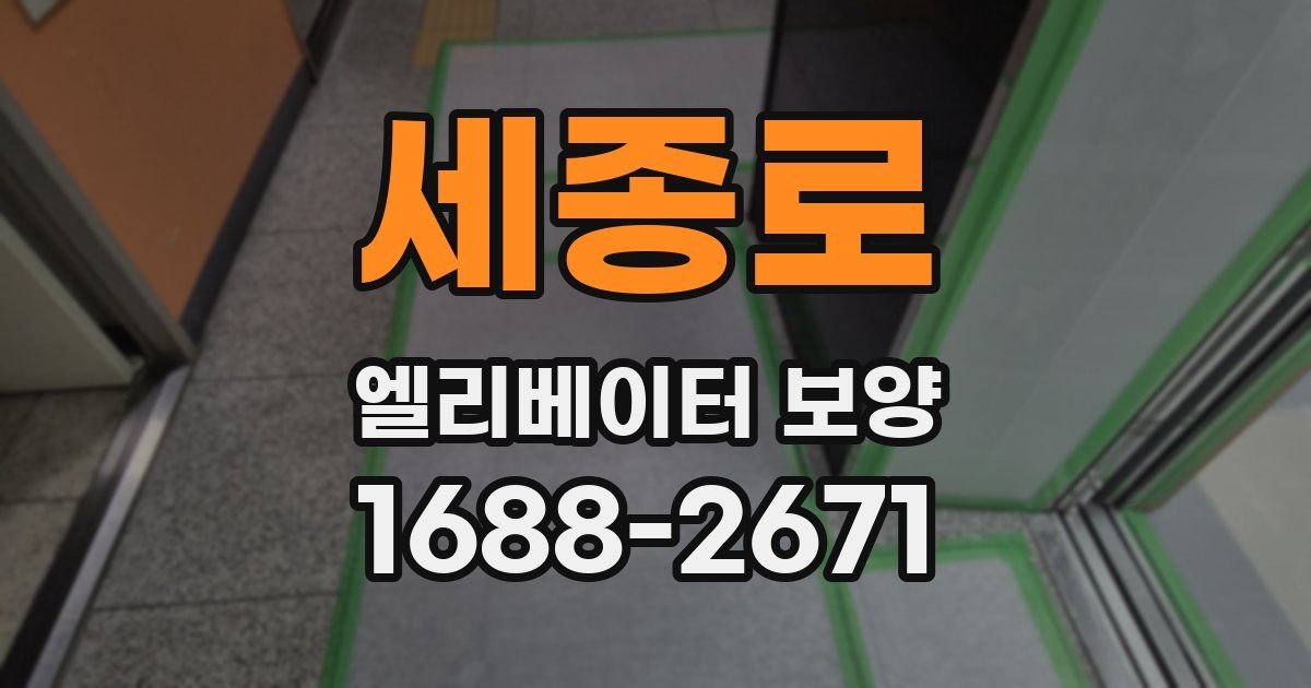 세종로 엘리베이터 보양