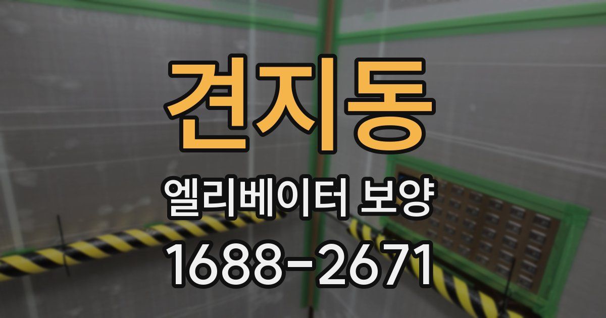 견지동 엘리베이터 보양