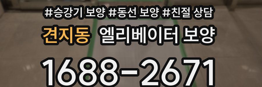 견지동 엘리베이터 보양