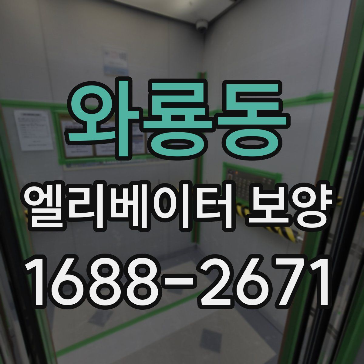 와룡동 엘리베이터 보양