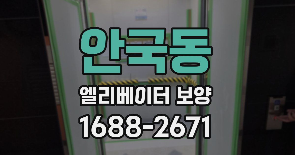 안국동 엘리베이터 보양