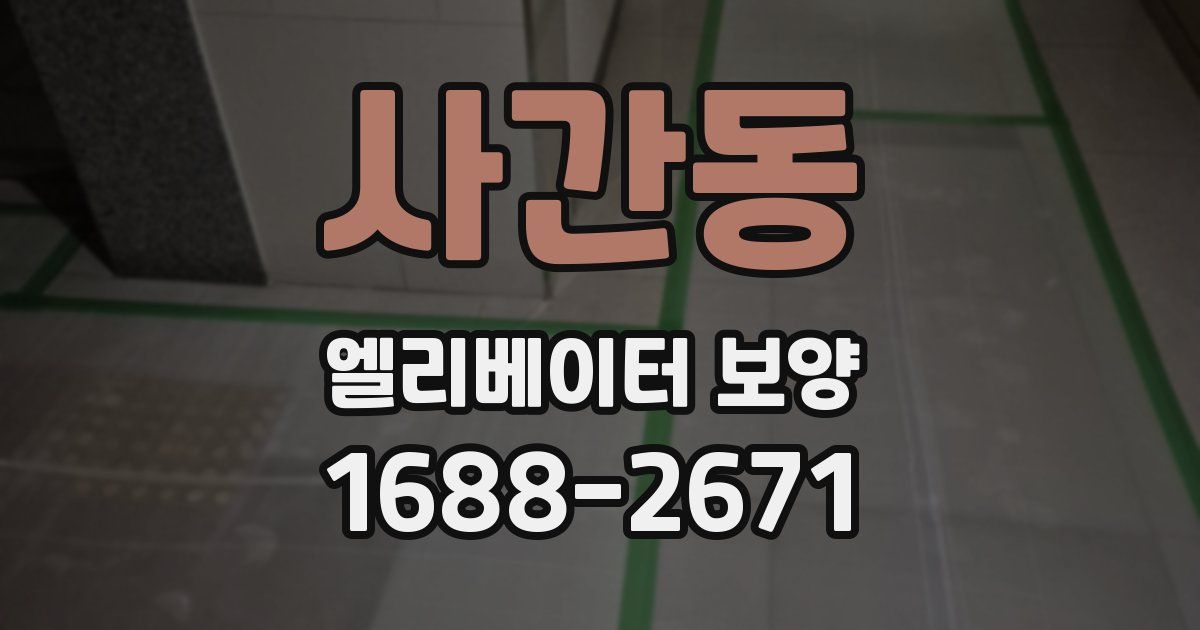 사간동 엘리베이터 보양
