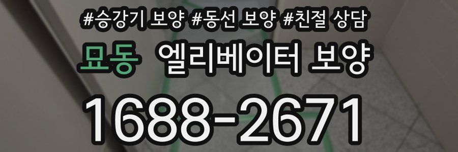 묘동 엘리베이터 보양