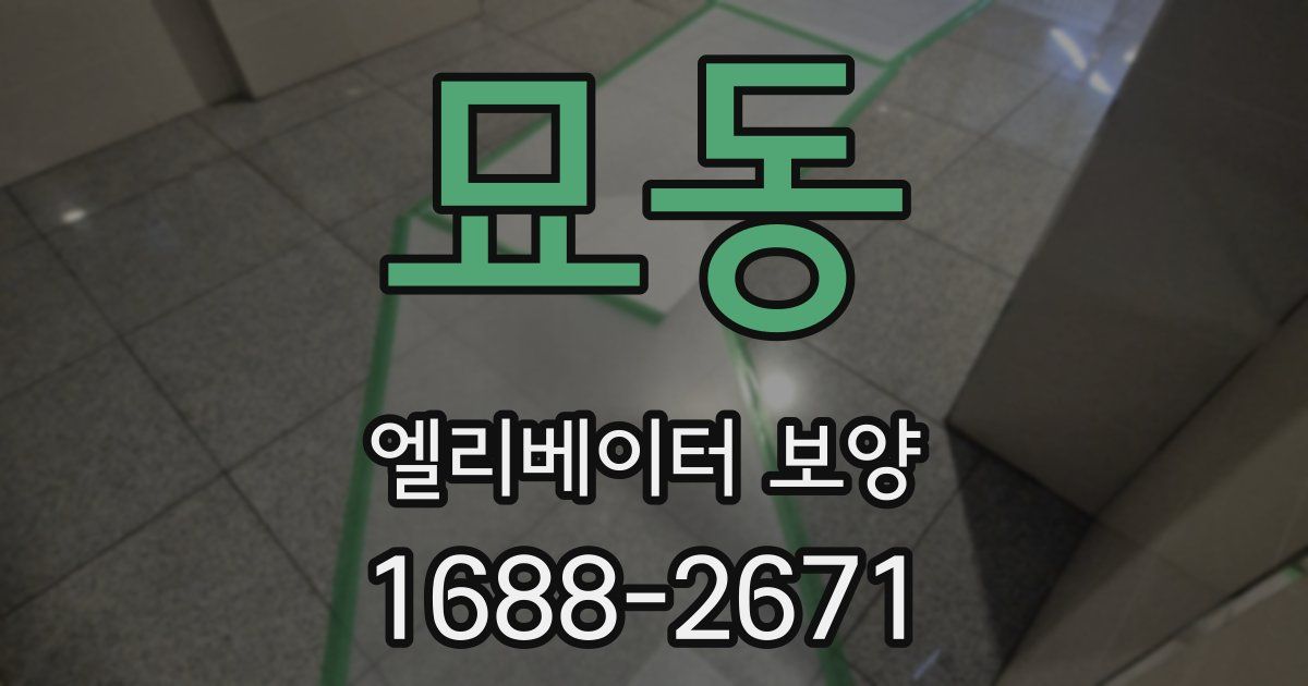 묘동 엘리베이터 보양