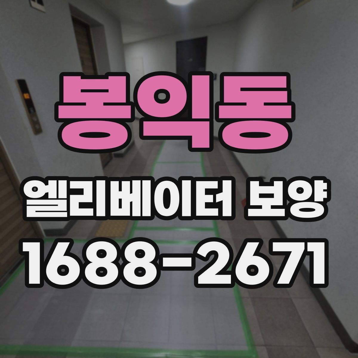 봉익동 엘리베이터 보양 업체 선택 시 체크할 항목