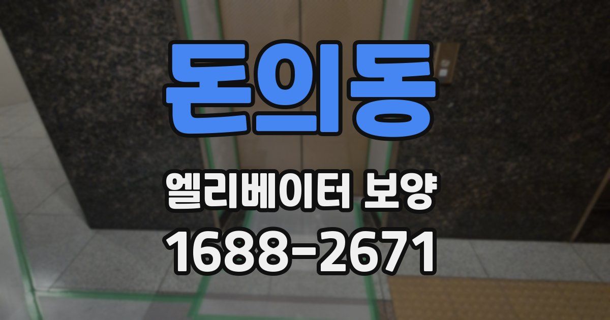 돈의동 엘리베이터 보양