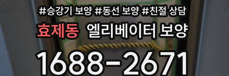 효제동 엘리베이터 보양