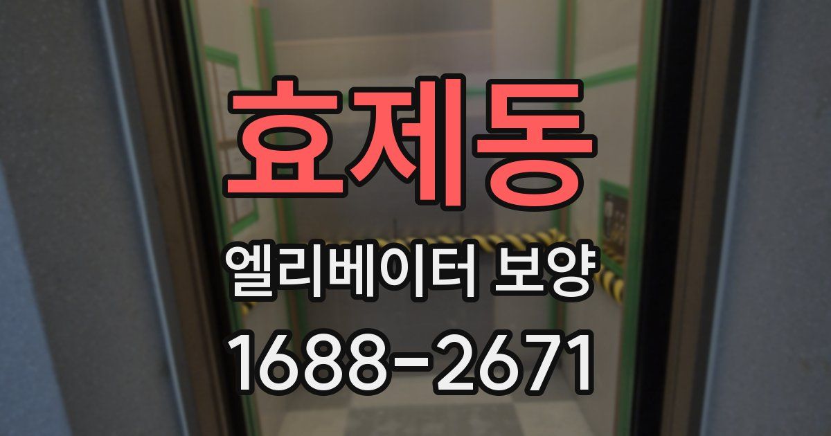 효제동 엘리베이터 보양