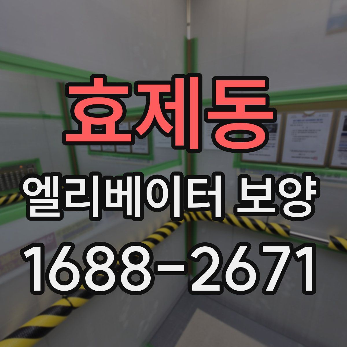 효제동 엘리베이터 보양