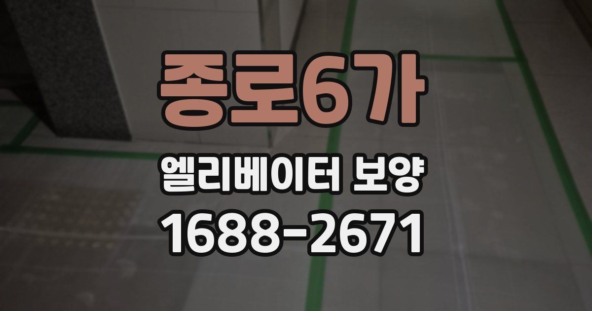 종로6가 엘리베이터 보양