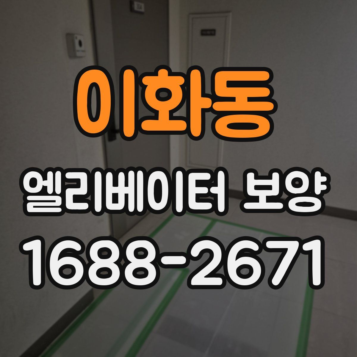 이화동 엘리베이터 보양