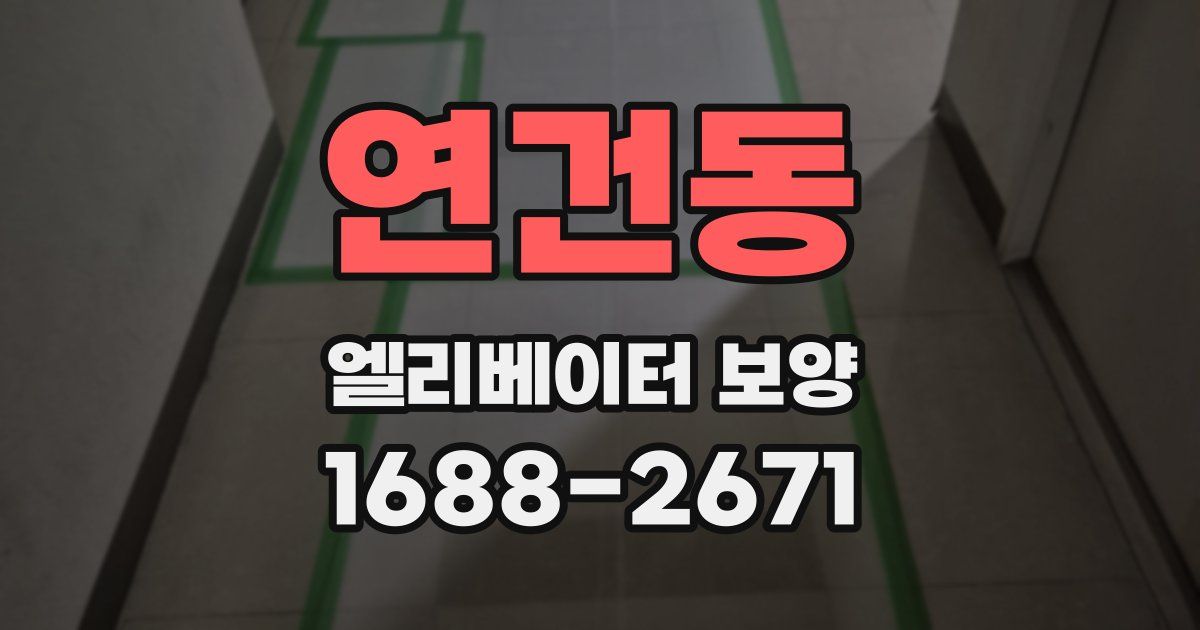 연건동 엘리베이터 보양