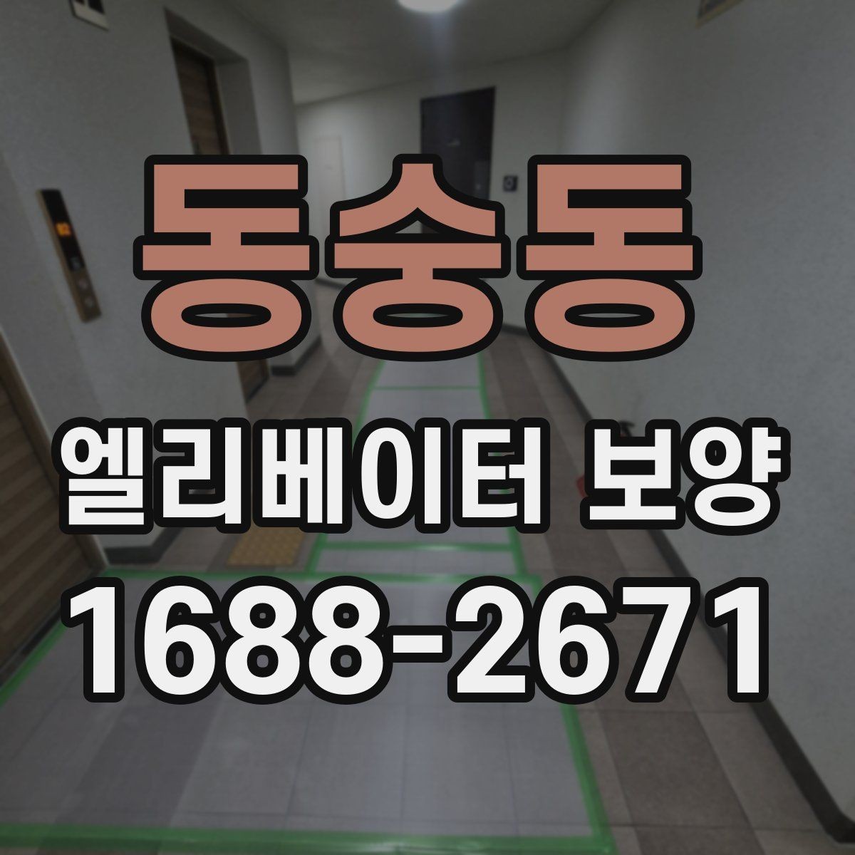 동숭동 엘리베이터 보양 견적을 비교할 때 보는 항목