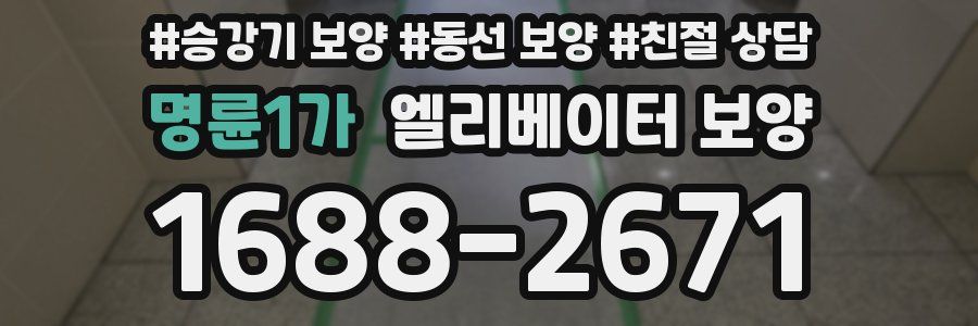 명륜1가 엘리베이터 보양