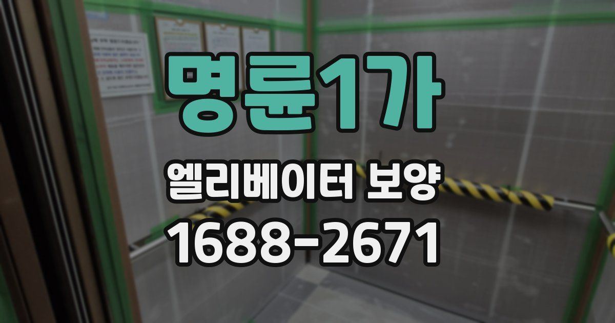 명륜1가 엘리베이터 보양