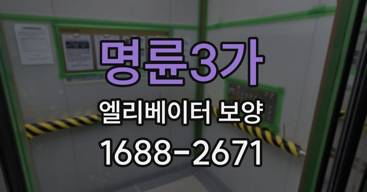 명륜3가 엘리베이터 보양