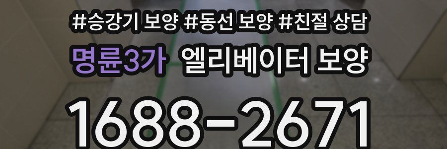 명륜3가 엘리베이터 보양