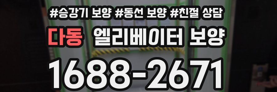 다동 엘리베이터 보양