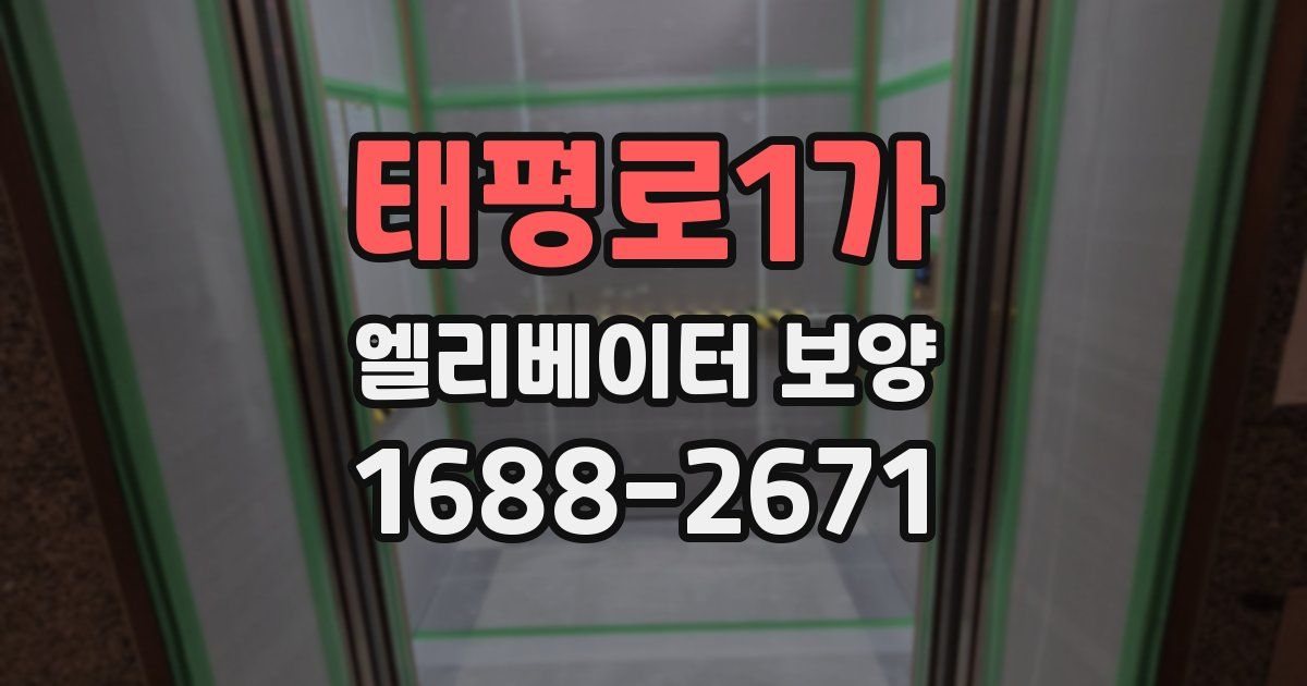 태평로1가 엘리베이터 보양