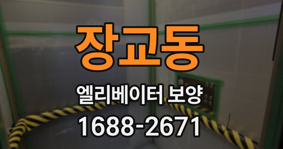 장교동 엘리베이터 보양
