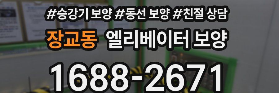 장교동 엘리베이터 보양