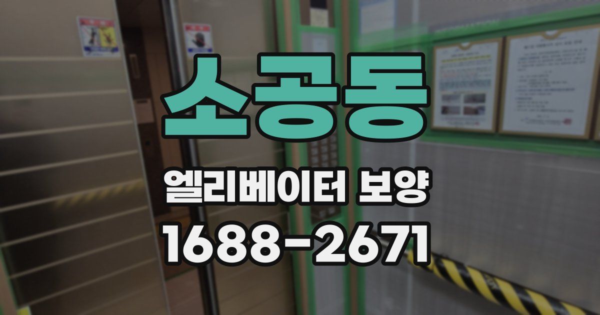 소공동 엘리베이터 보양