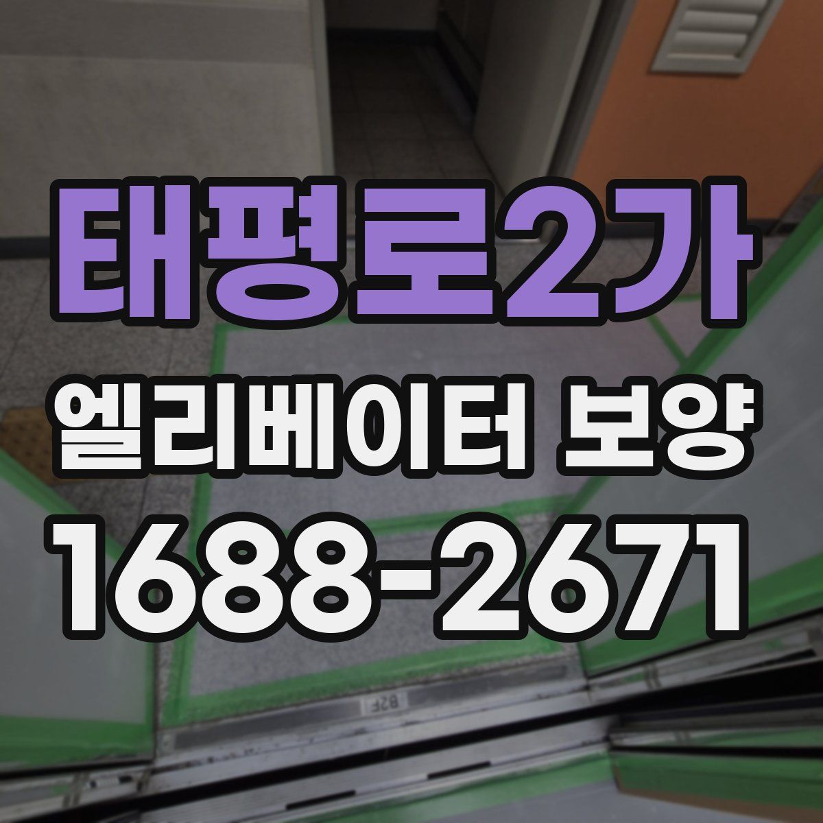 태평로2가 엘리베이터 보양