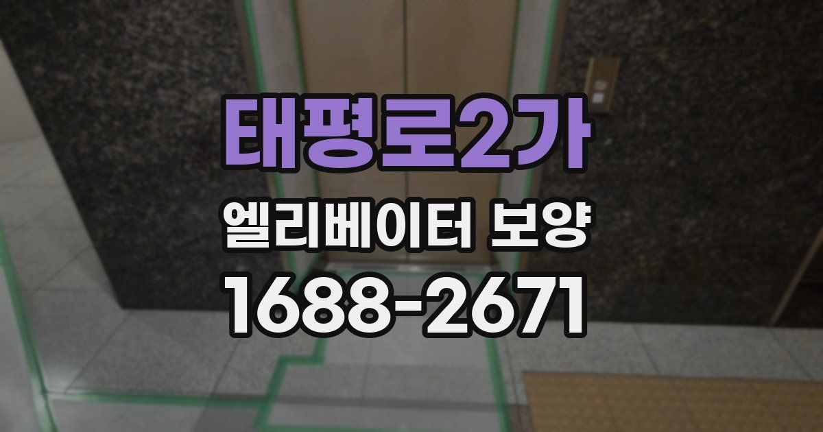 태평로2가 엘리베이터 보양