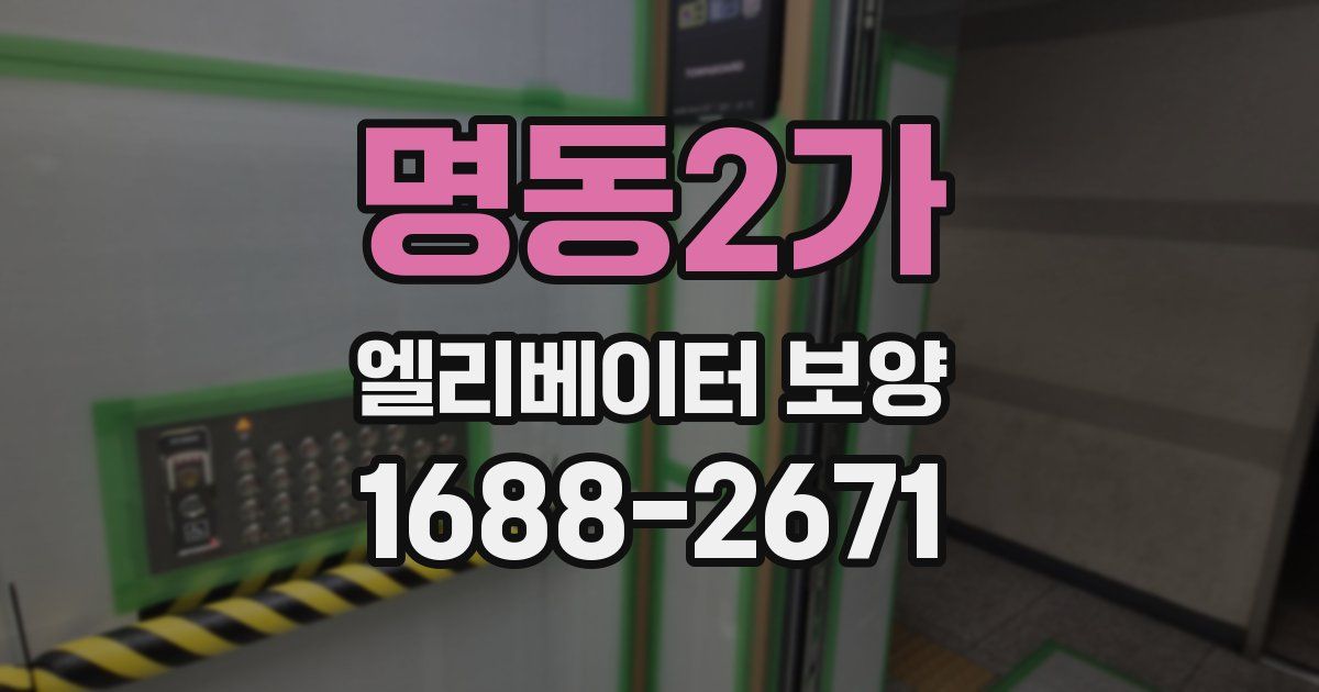 명동2가 엘리베이터 보양