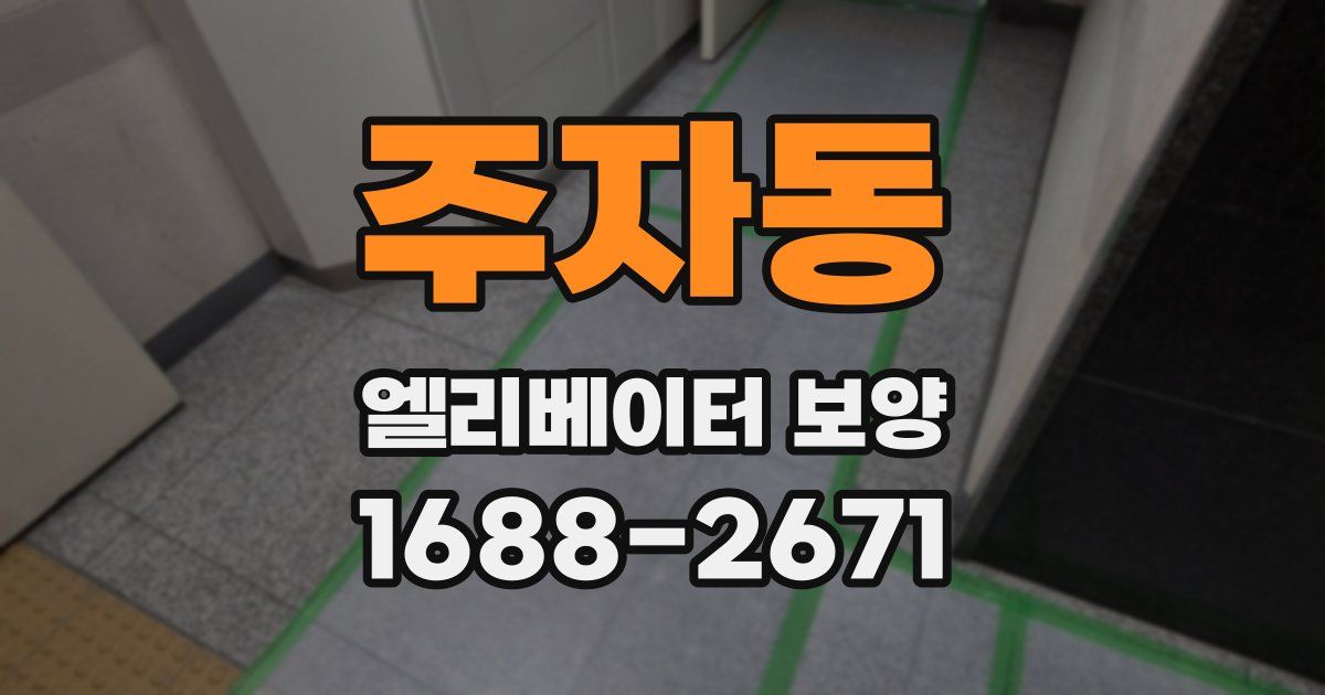 주자동 엘리베이터 보양