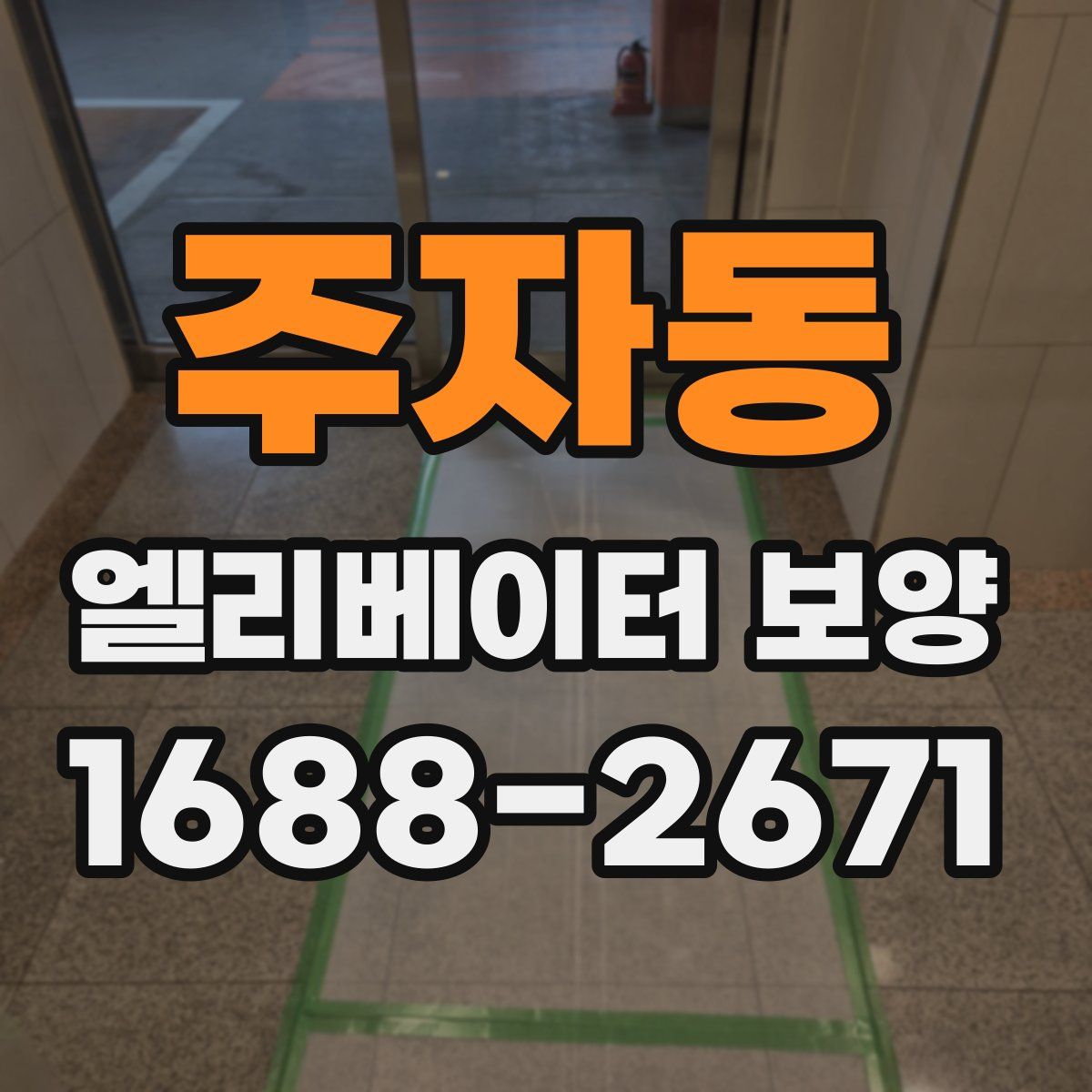 주자동 엘리베이터 보양
