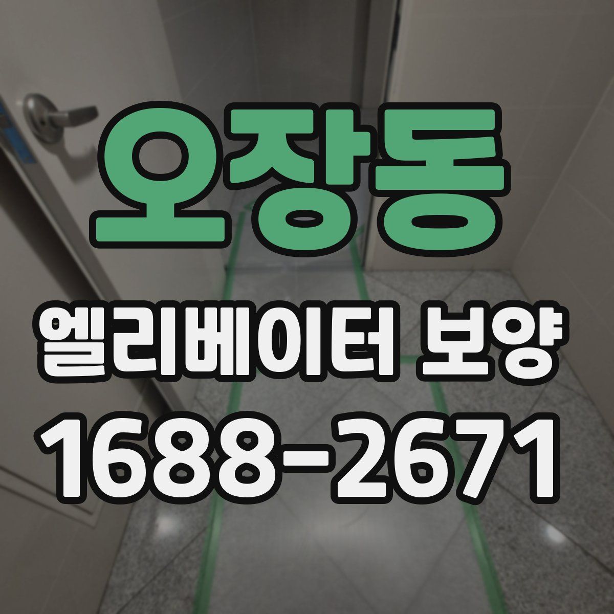오장동 엘리베이터 보양