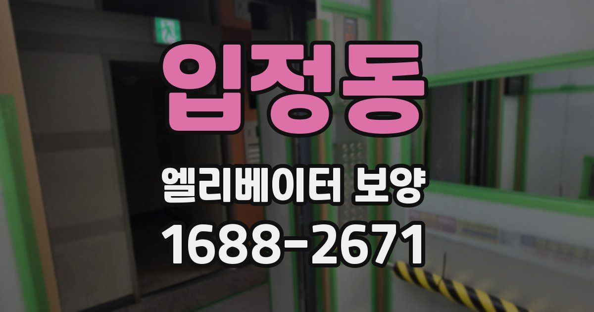 입정동 엘리베이터 보양
