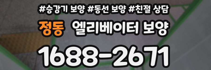 정동 엘리베이터 보양