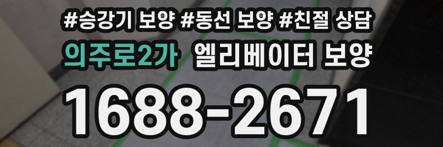 의주로2가 엘리베이터 보양