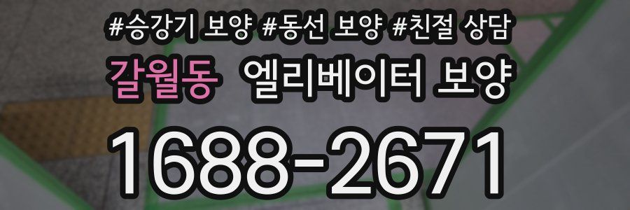 갈월동 엘리베이터 보양
