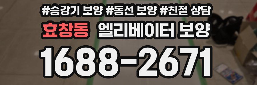 효창동 엘리베이터 보양