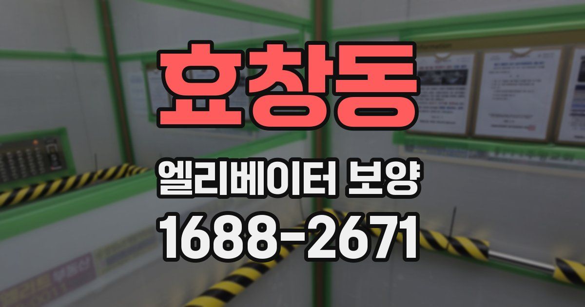 효창동 엘리베이터 보양