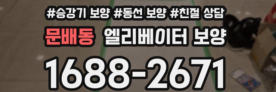 문배동 엘리베이터 보양