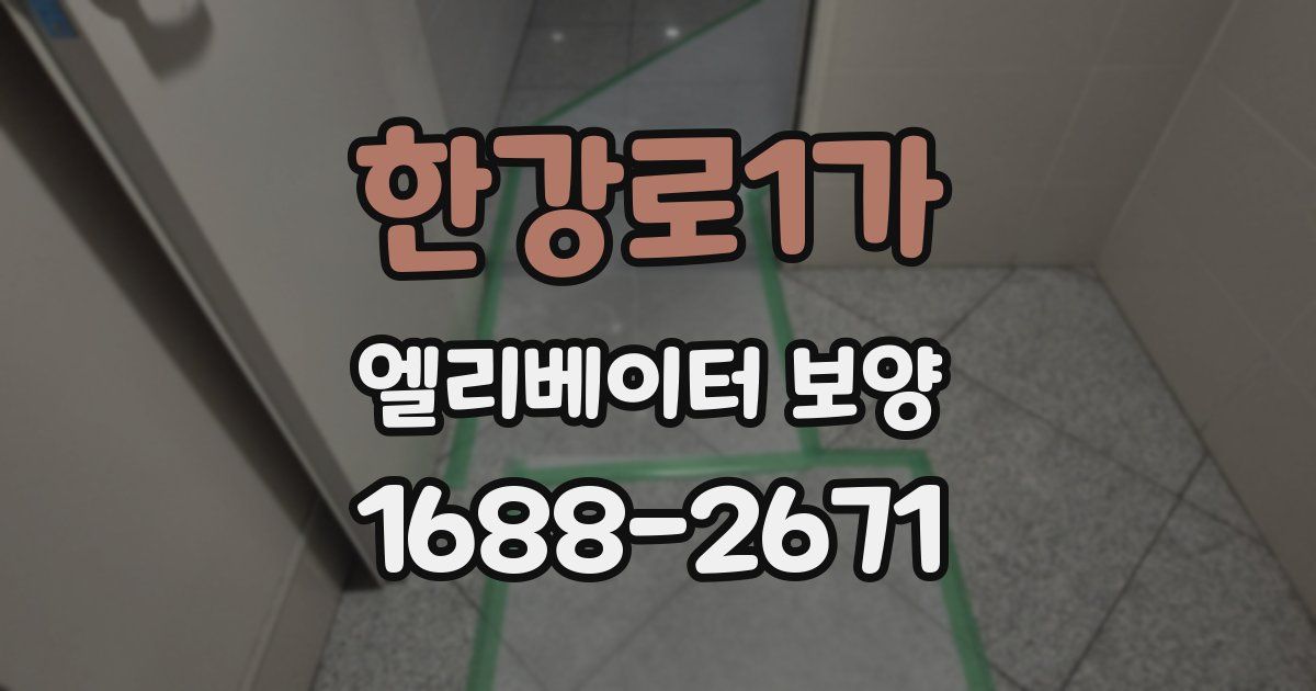 한강로1가 엘리베이터 보양