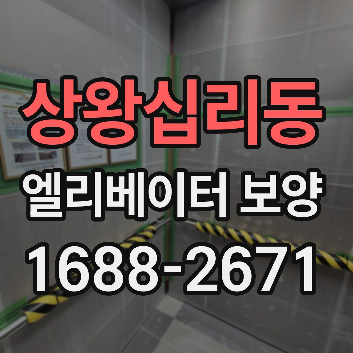상왕십리동 엘리베이터 보양