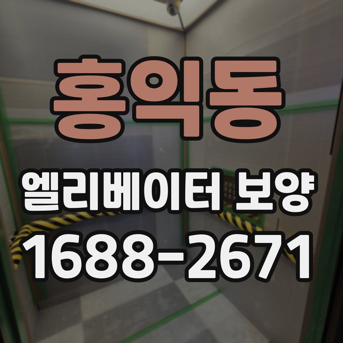 홍익동 엘리베이터 보양