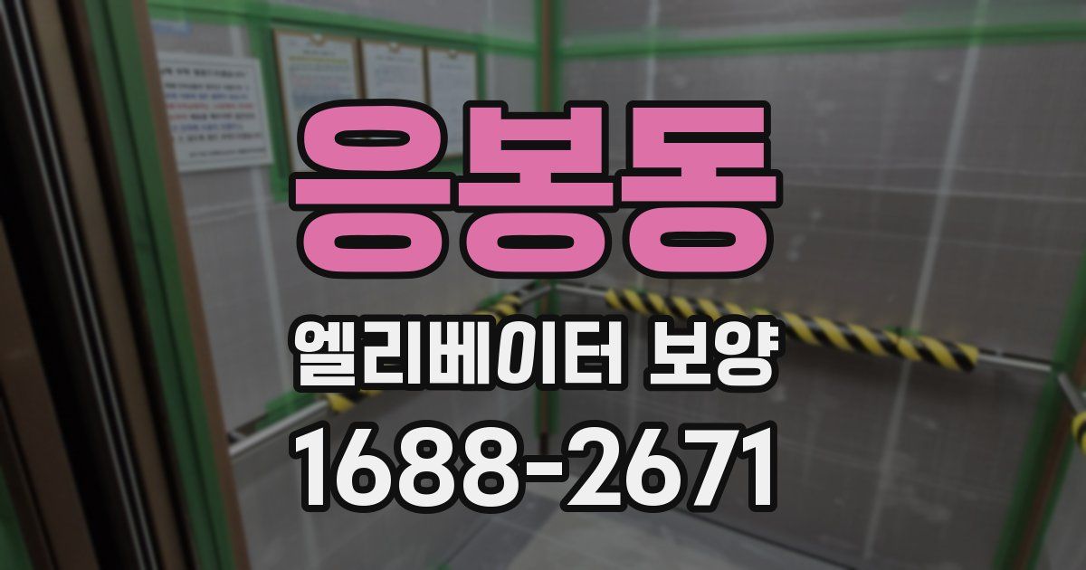 응봉동 엘리베이터 보양