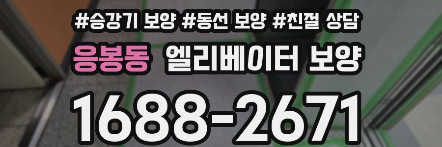 응봉동 엘리베이터 보양