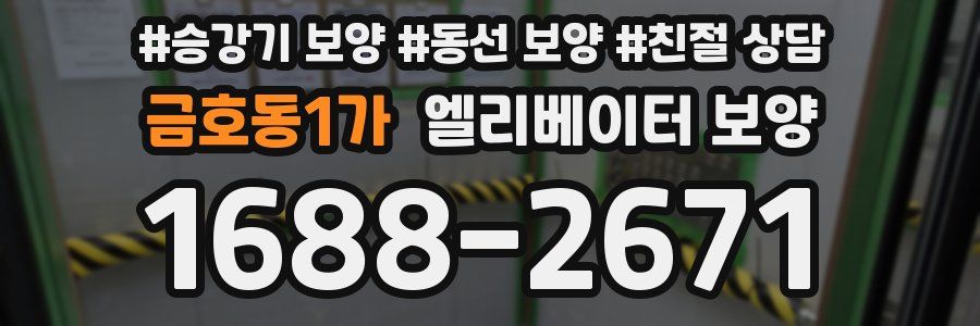 금호동1가 엘리베이터 보양