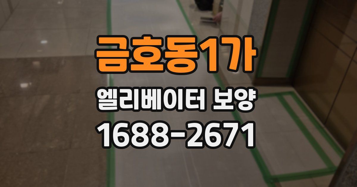 금호동1가 엘리베이터 보양
